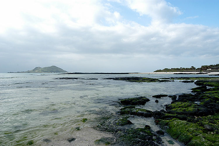 미르_윤기룡_바다_그섬에 가고 싶다_rs750.jpg