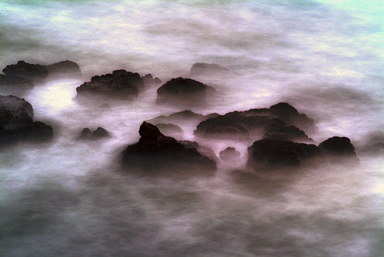 비룡_김상환_류_2004.1.17 066-2-_rs750.jpg