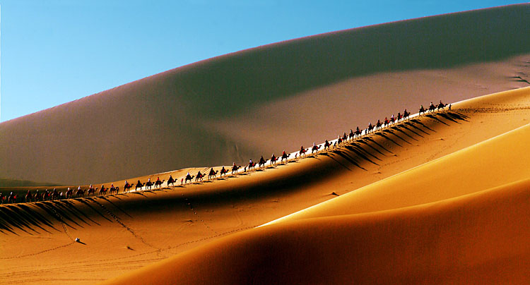 hans_白榮鉉 _사막여행_tour_02_rs750.jpg