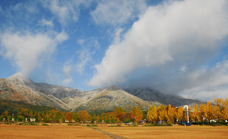 이준현_계절의 경계_DSC_1325_rs750.jpg