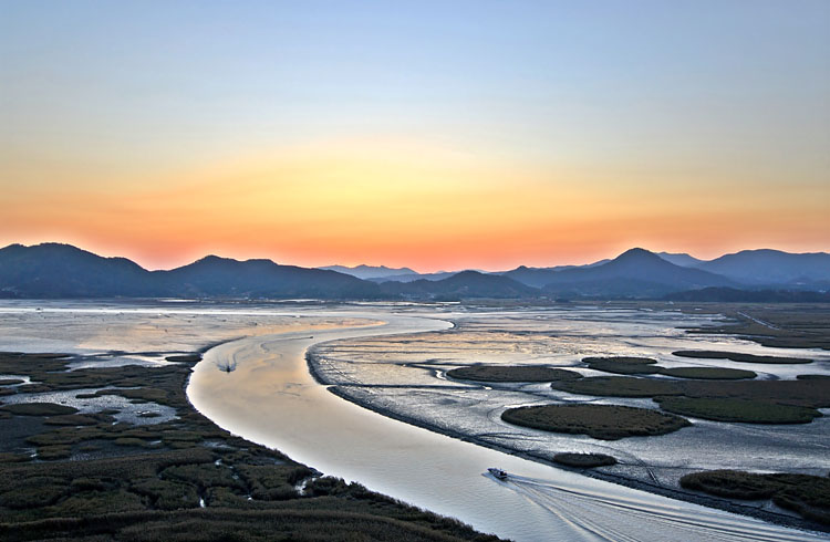 최대순_순천만의 황혼_DSC_5868_rs750.jpg