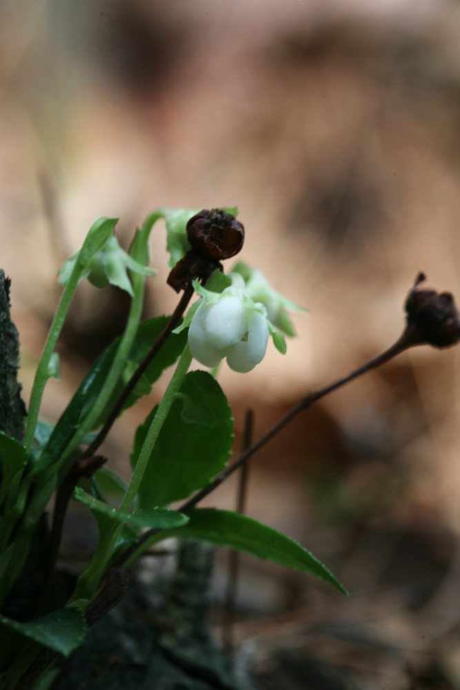 09-06-05 cjd 064-1.jpg