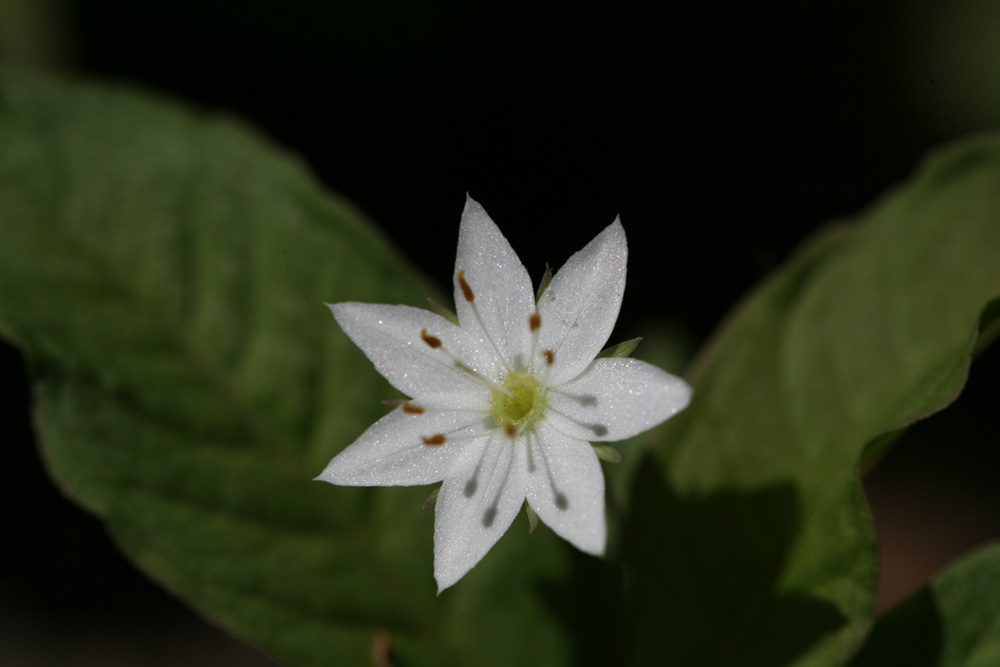 09-05-18 cjd 068-1.jpg