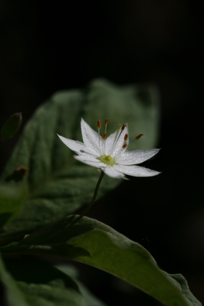 09-05-18 cjd 146-1.jpg