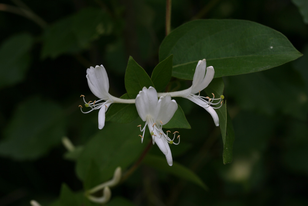 09-06-05 cjd 025-1.jpg