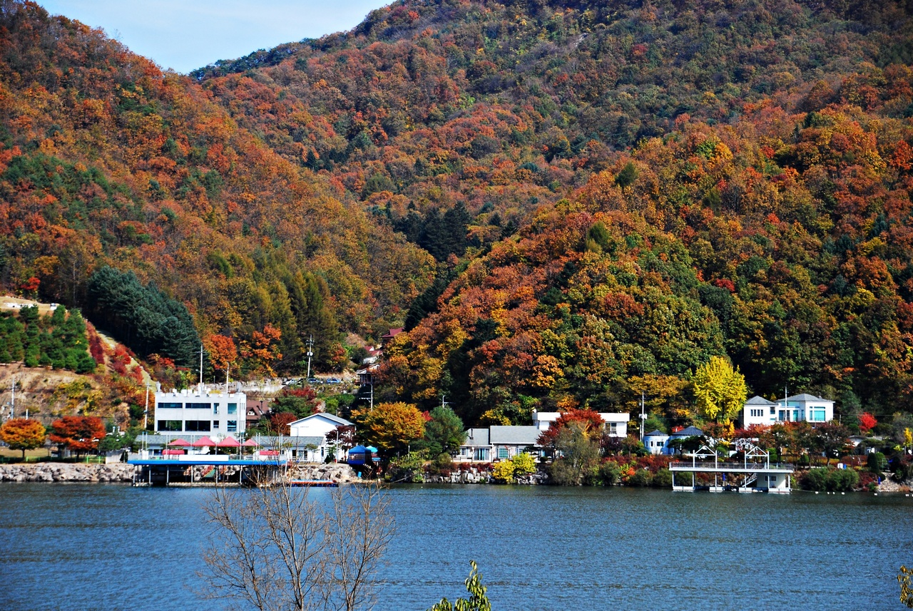 1280 111023 남이섬 319.jpg