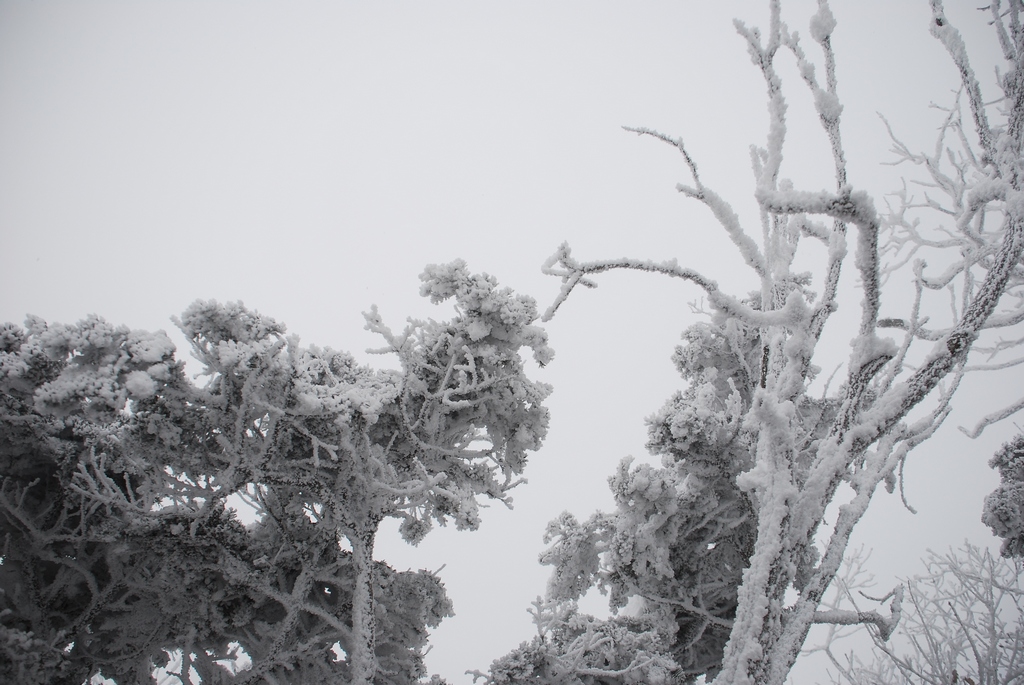 1024 111211 덕유산 027.jpg