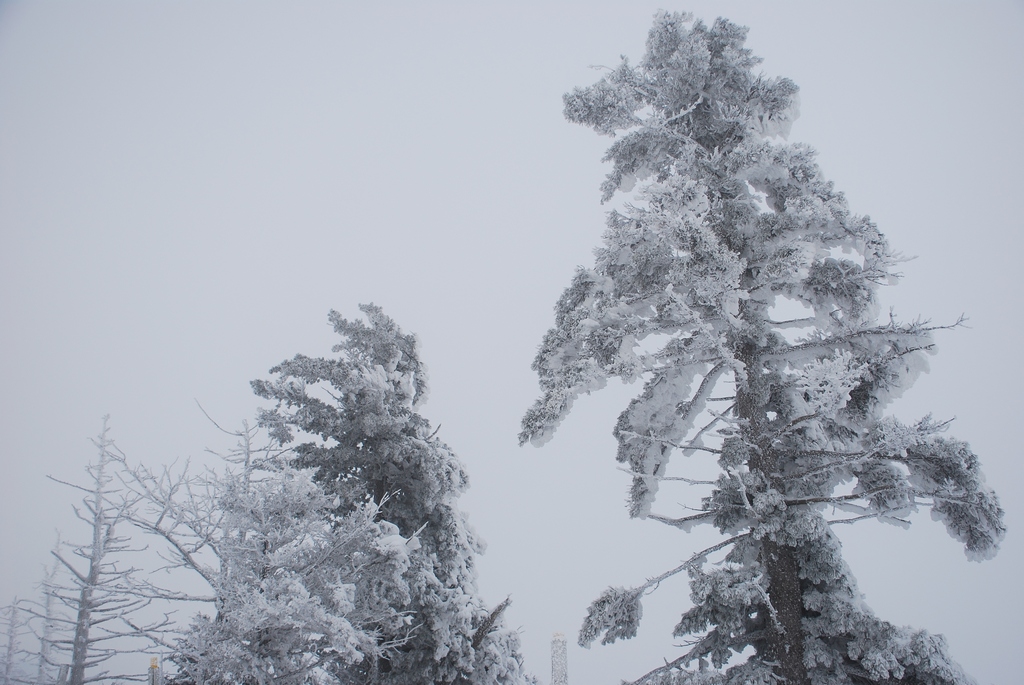 1024 111211 덕유산 115.jpg