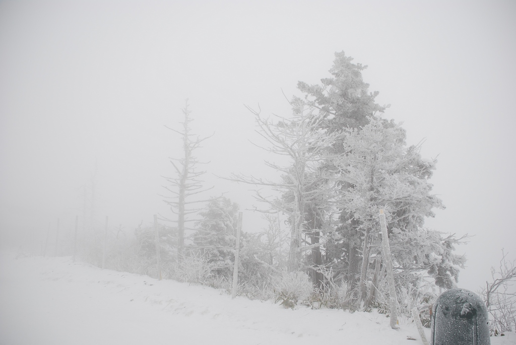 1024 111211 덕유산 016.jpg