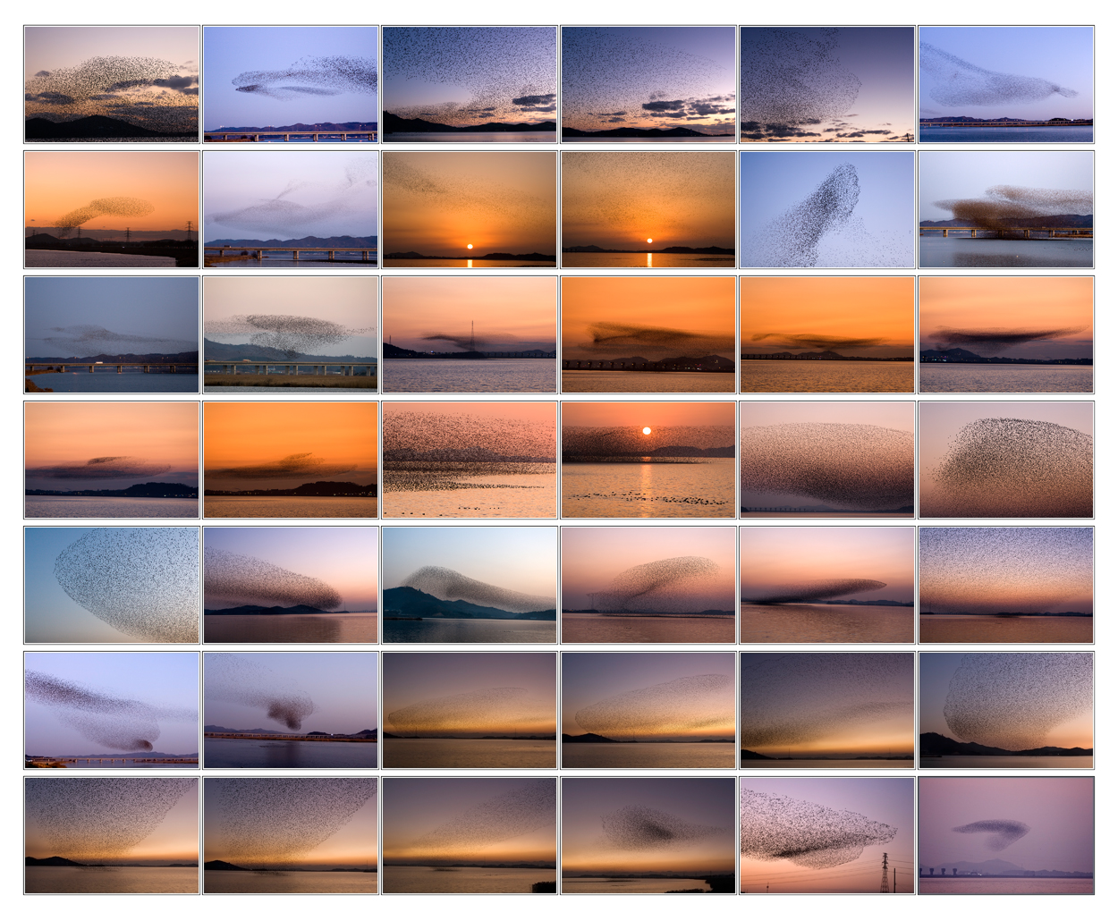 밀착 인화-008.jpg