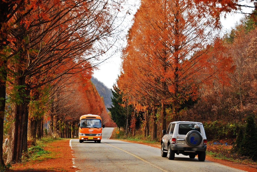 1024 111113 모래재 158.jpg