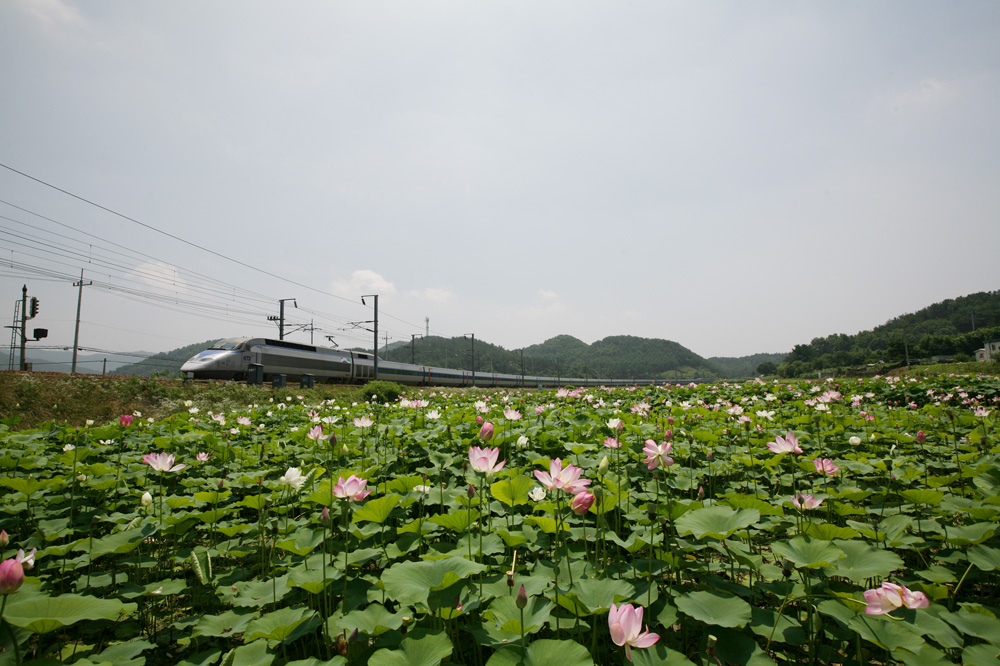 10-07-06 tad 033-1.jpg