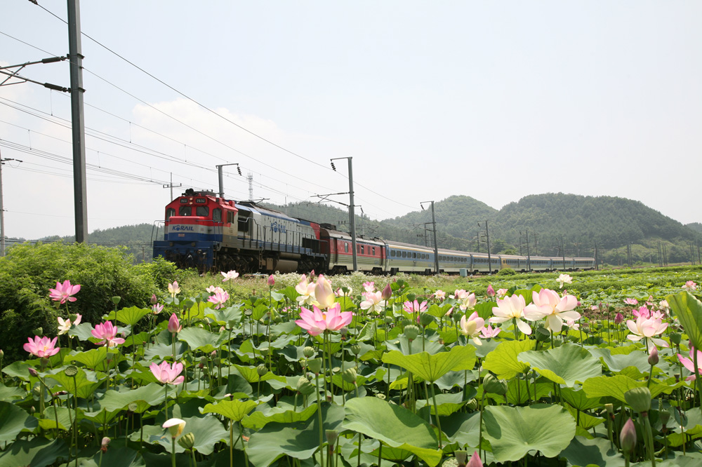 10-07-06 tad 060-1.jpg