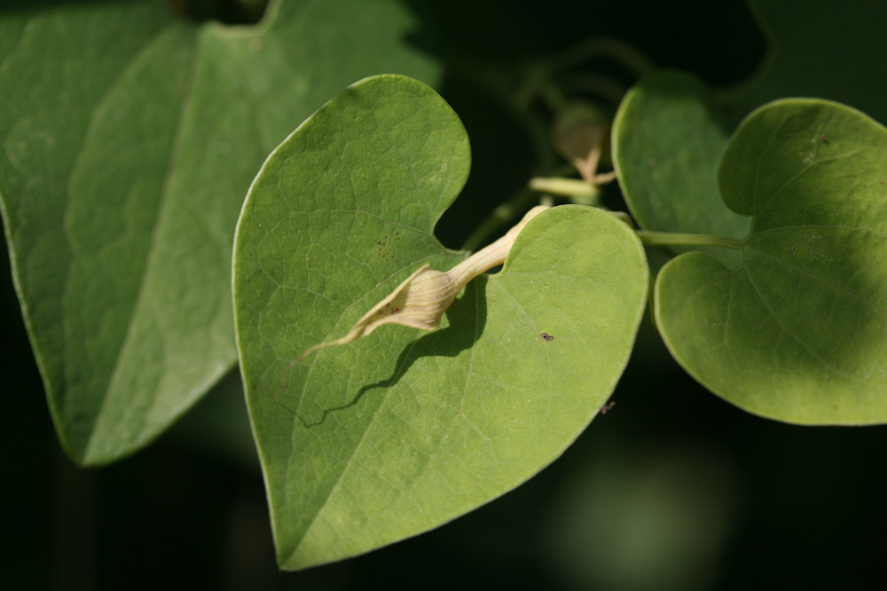 10-07-06 tad 097-1.jpg