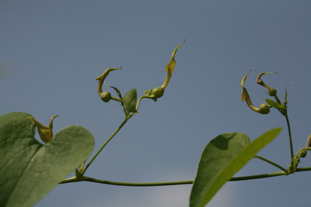 10-07-06 tad 112-1.jpg