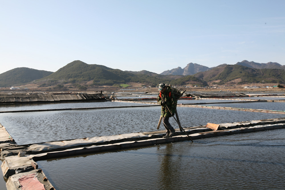 09-02-17 cjd 180-1.jpg