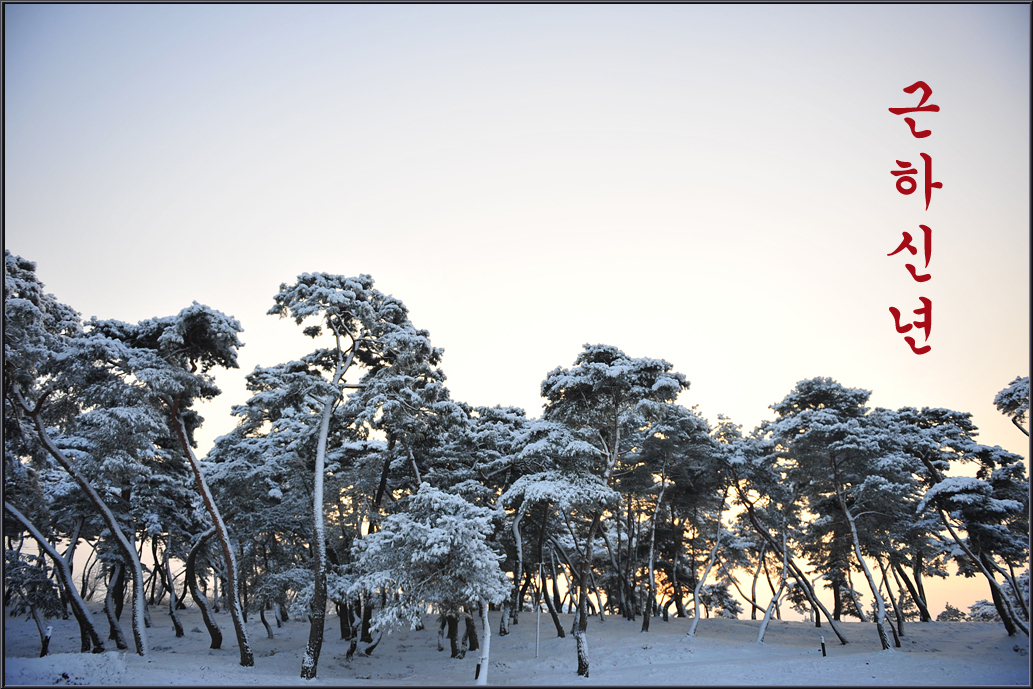 근하신년.jpg