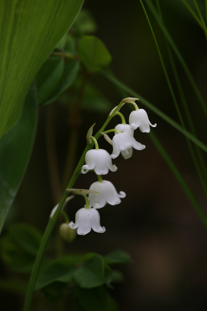 09-05-03 cjd 060-1.jpg