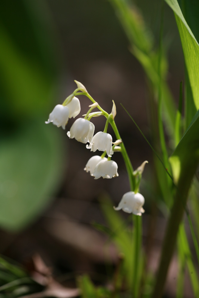 09-05-03 cjd 095-1.jpg