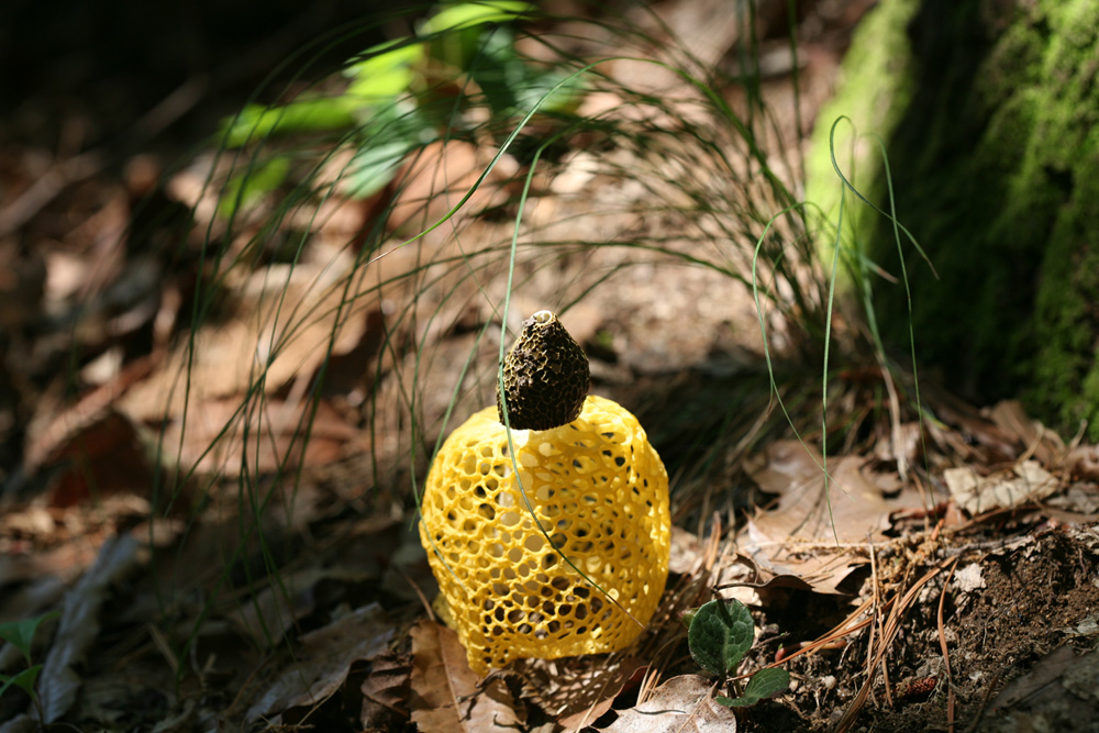 09-06-24 cjd 030-1.jpg