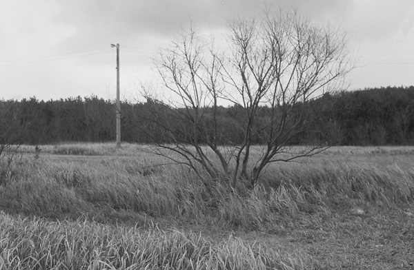 033_091205_029 copy.jpg