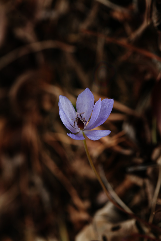 09-03-24 cjd 004-1.jpg