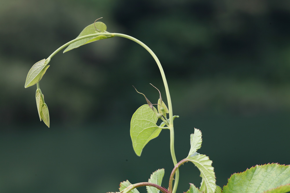 09-07-06 cjd 027-1.jpg