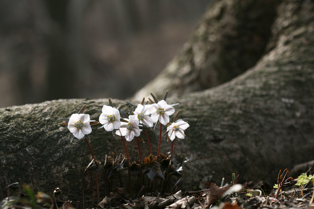 10-03-07 cjd 090-1.jpg