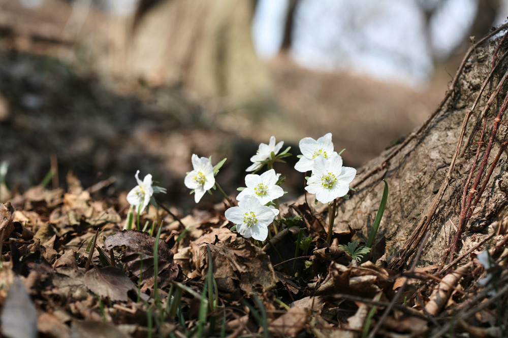 10-03-07 cjd 158-1.jpg