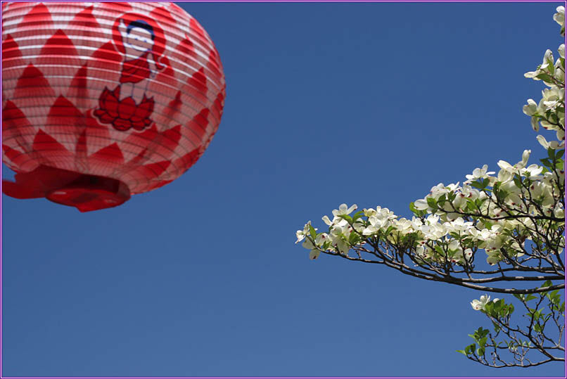 사본 -사본 -untitled.jpg