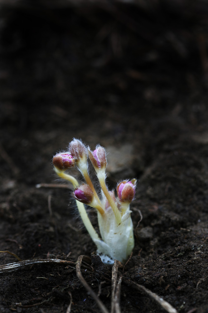 09-02-04 cjd 002-1.jpg