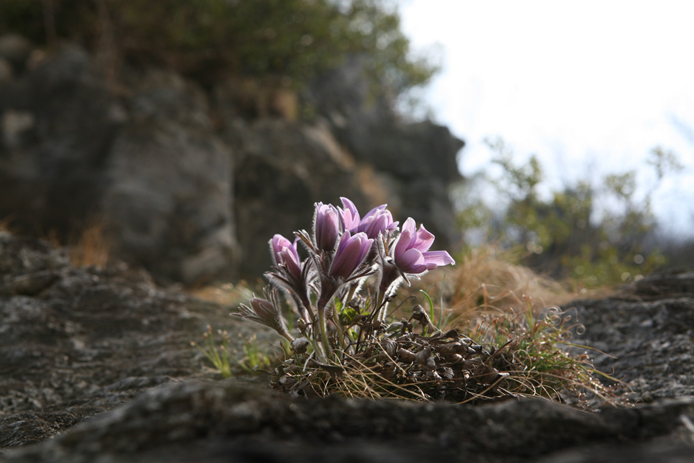 09-04-04 cjd 222-1.jpg