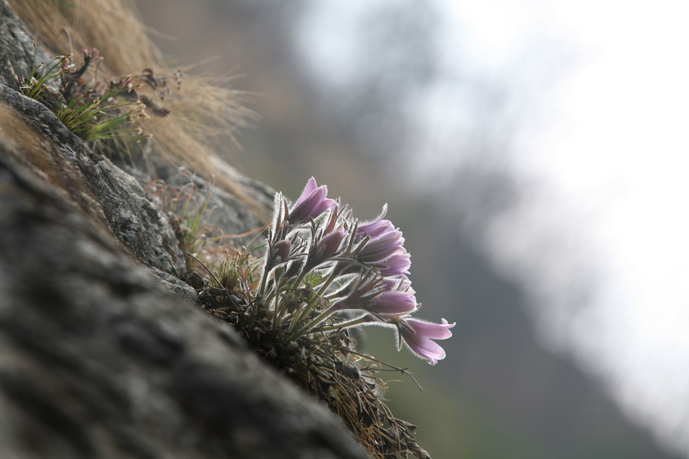 09-04-04 cjd 237-1.jpg