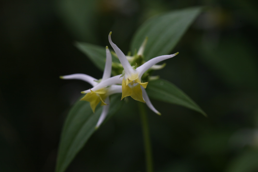 09-08-26 cjd 054-1.jpg