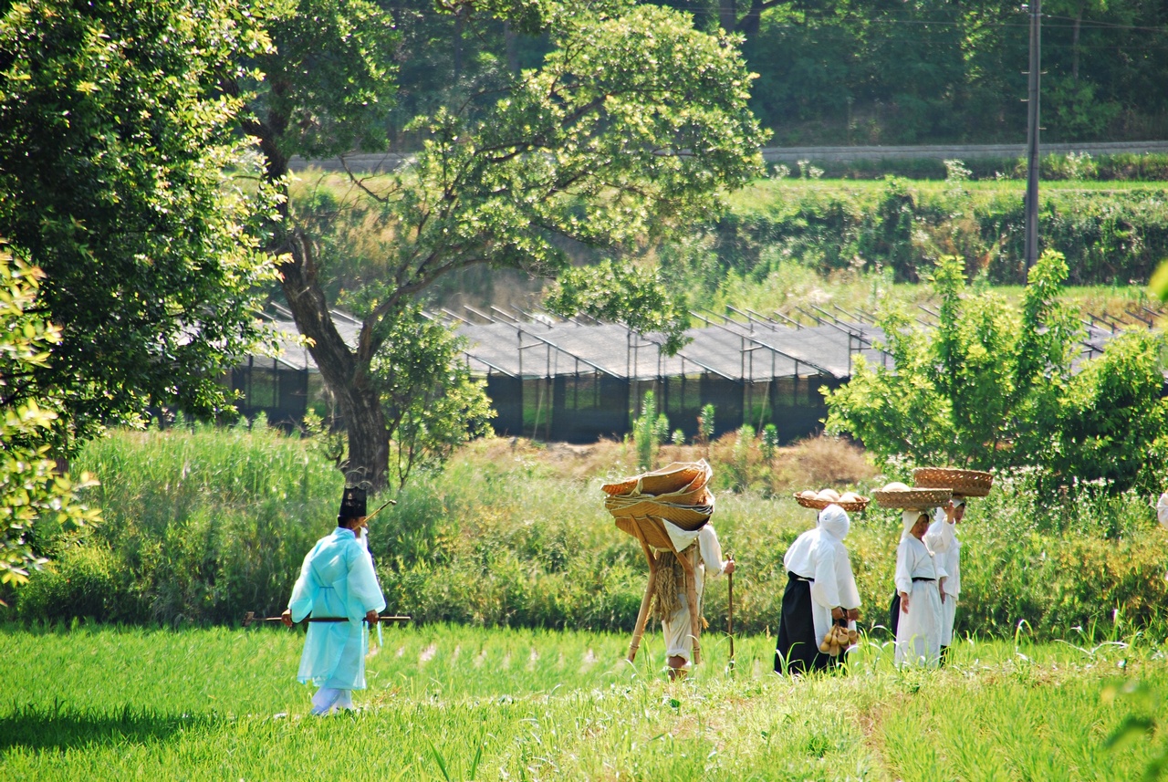 1280 110619 증평 118.jpg