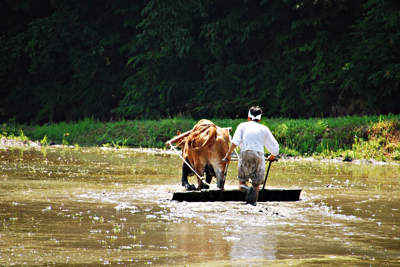 1280 110619 증평 111.jpg