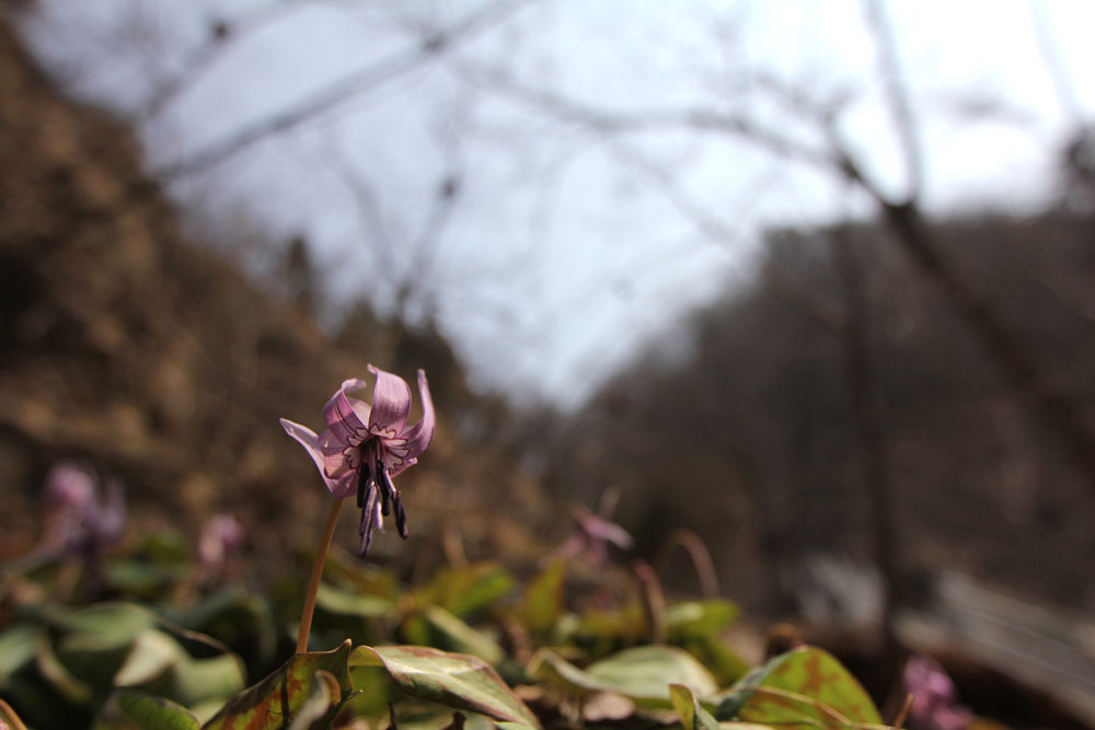 12-03-28 tad 058=1.jpg