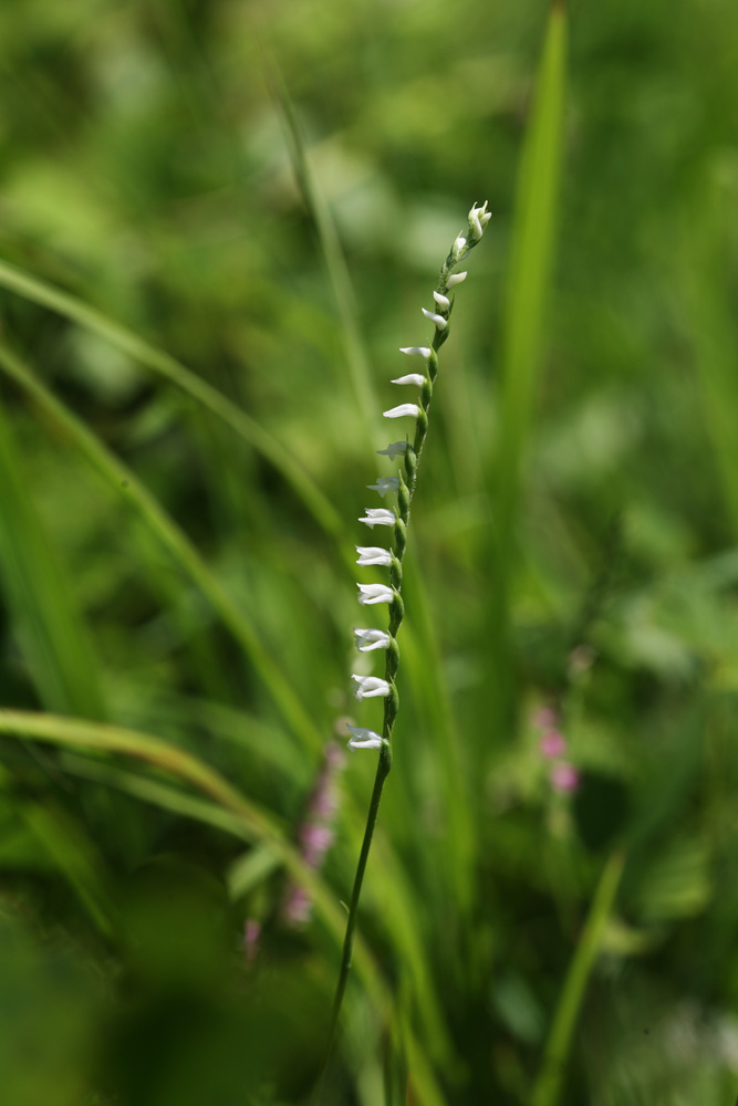 09-06-24 cjd 138-1.jpg