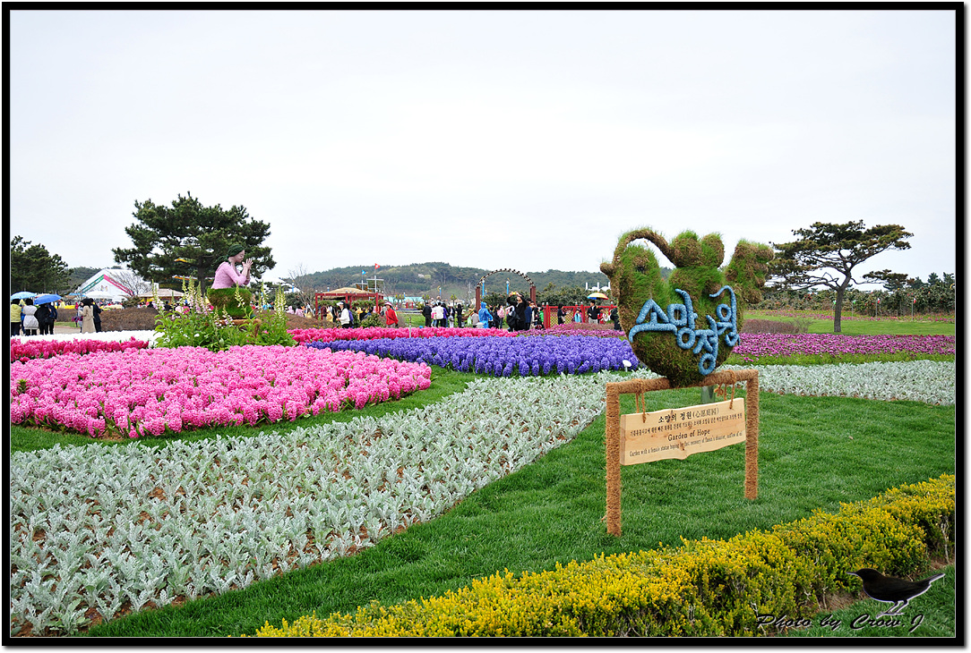 2009.04.24-1-안면도 국제 꽃박람회D30_9839.jpg