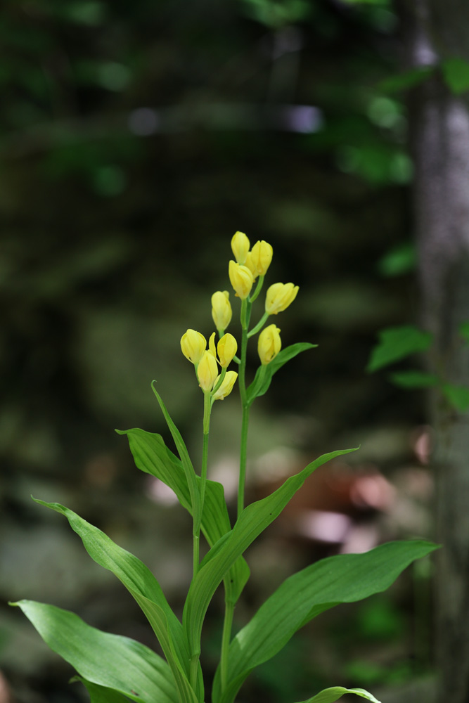 09-05-10 cjd 022-1.jpg