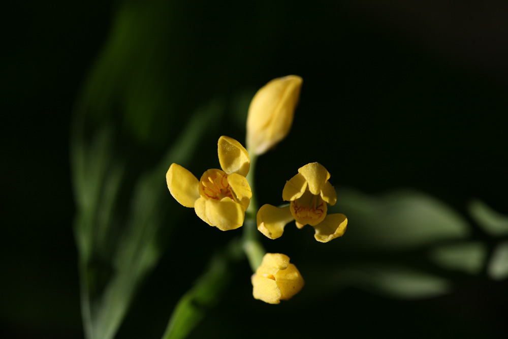 09-05-10 cjd 085-1.jpg