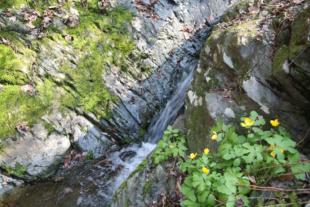 10-04-29 cjd 355-1.jpg