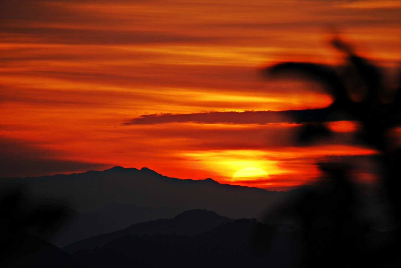 1280-111002 보문산 018-1.jpg