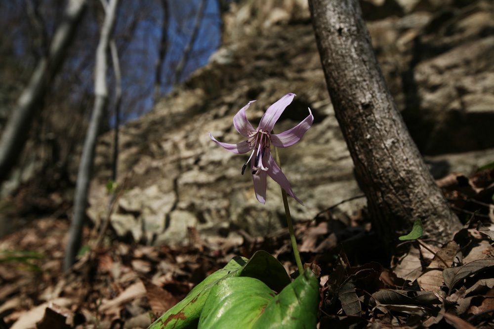 2010-03-21 cjd 147-1.jpg