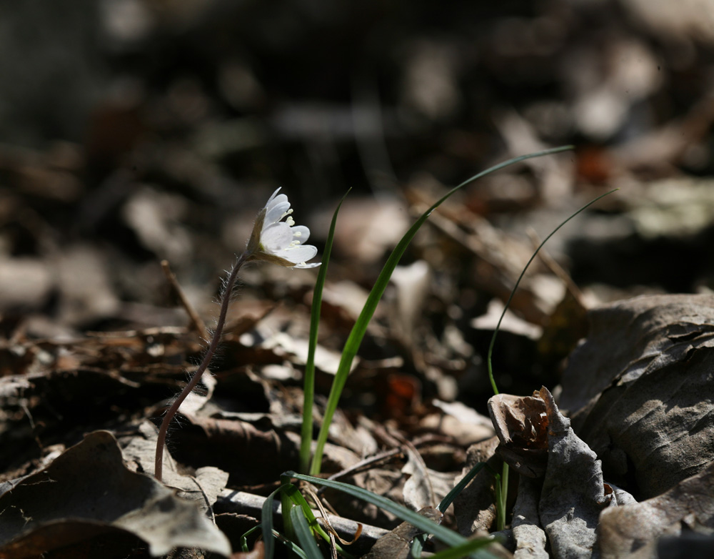 2010-03-21 cjd 125-1.jpg