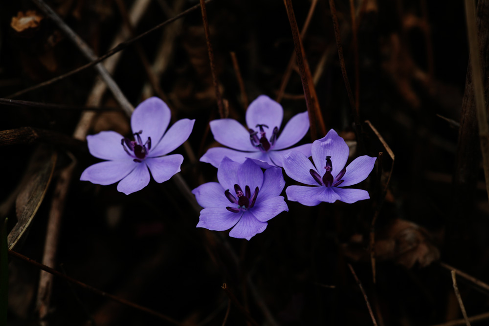 09-04-04 cjd 017-1.jpg