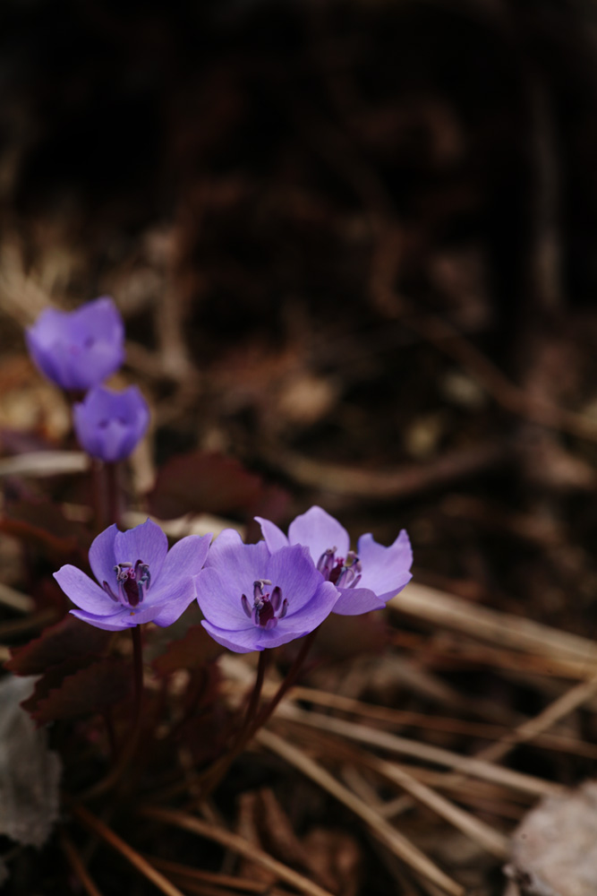 09-04-04 cjd 040-1.jpg