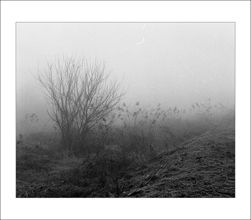 B2-57-08 TX400 645.jpg