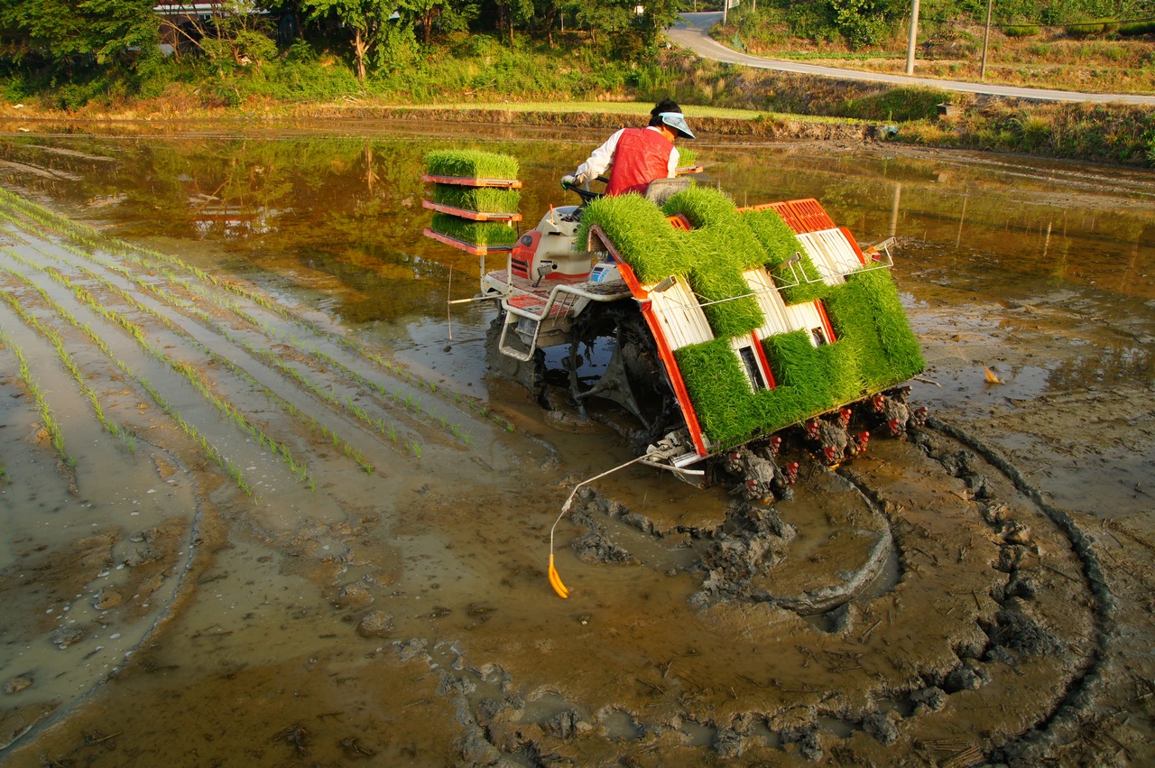 1280 120527 드라이브010.jpg