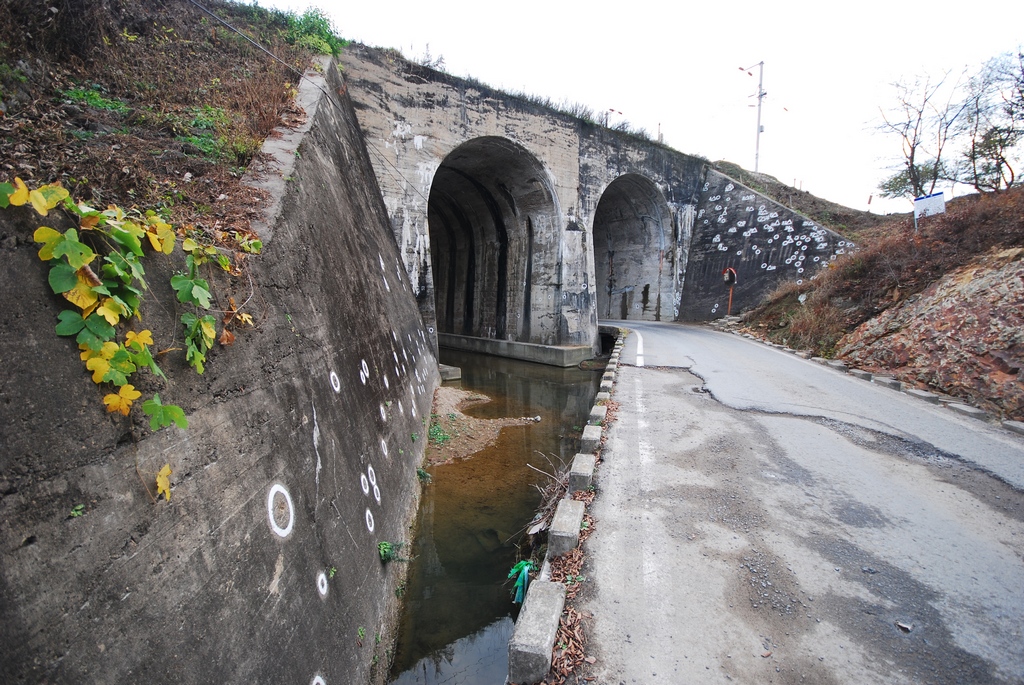 1024 111111 우포 반곡 월류 182.jpg